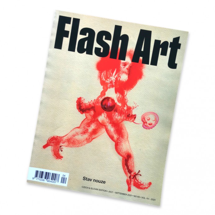 Flash Art 60