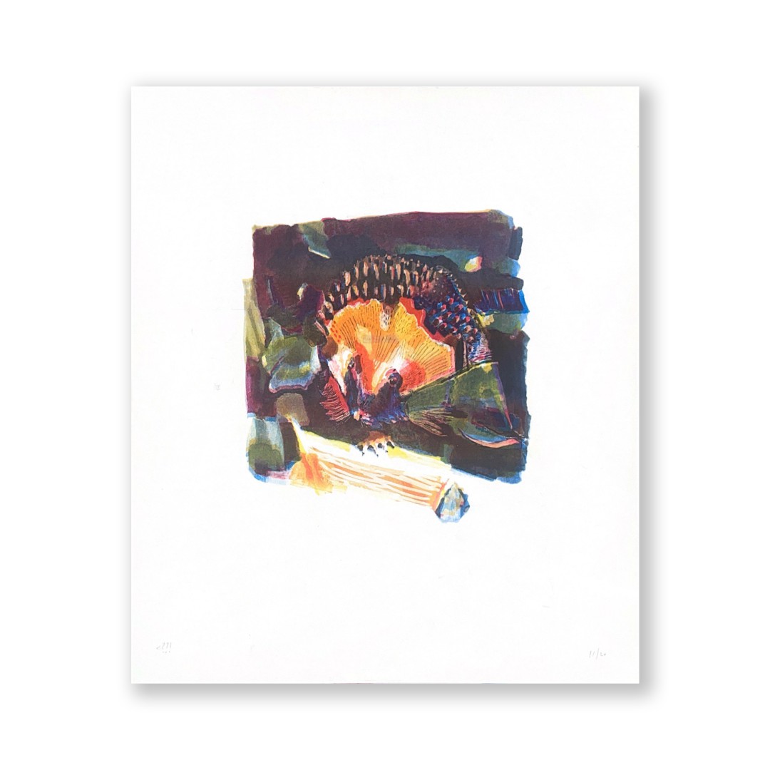 Hedgehog barevný akvarel - riso 33x32cm