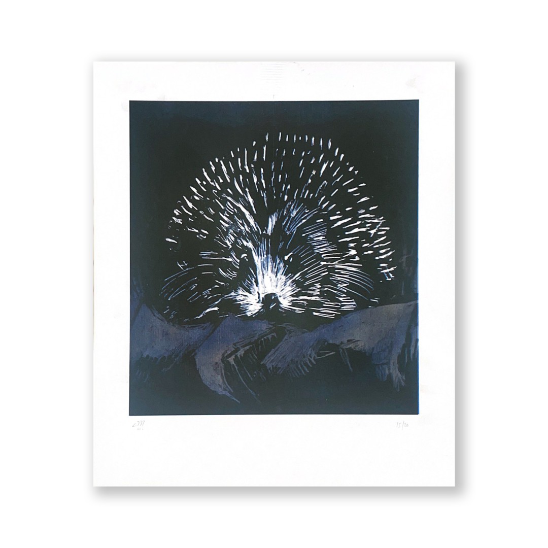 Ilya Kreines - Hedgehod akvarel tmavý
