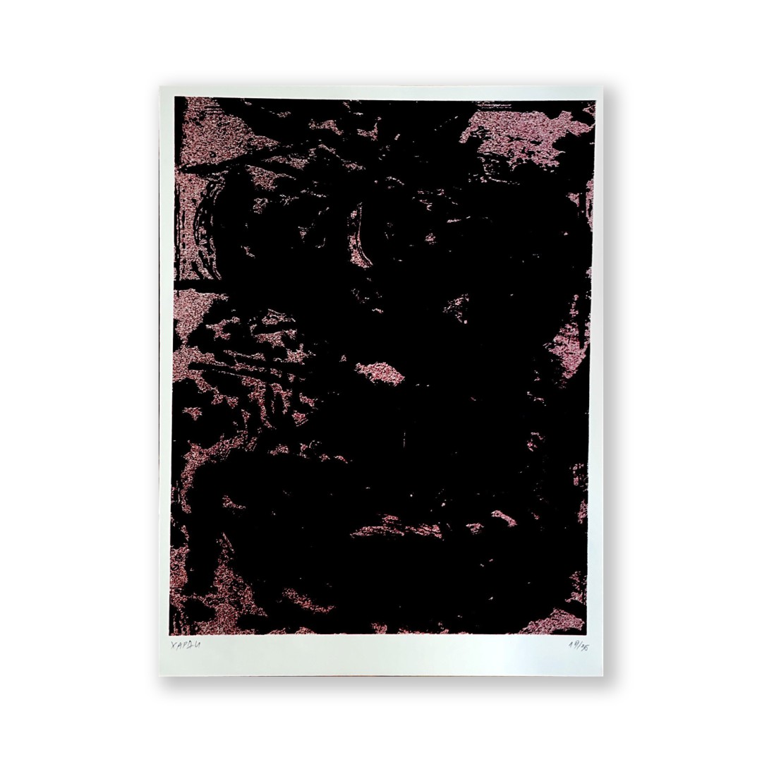 Future lands - Riso A3