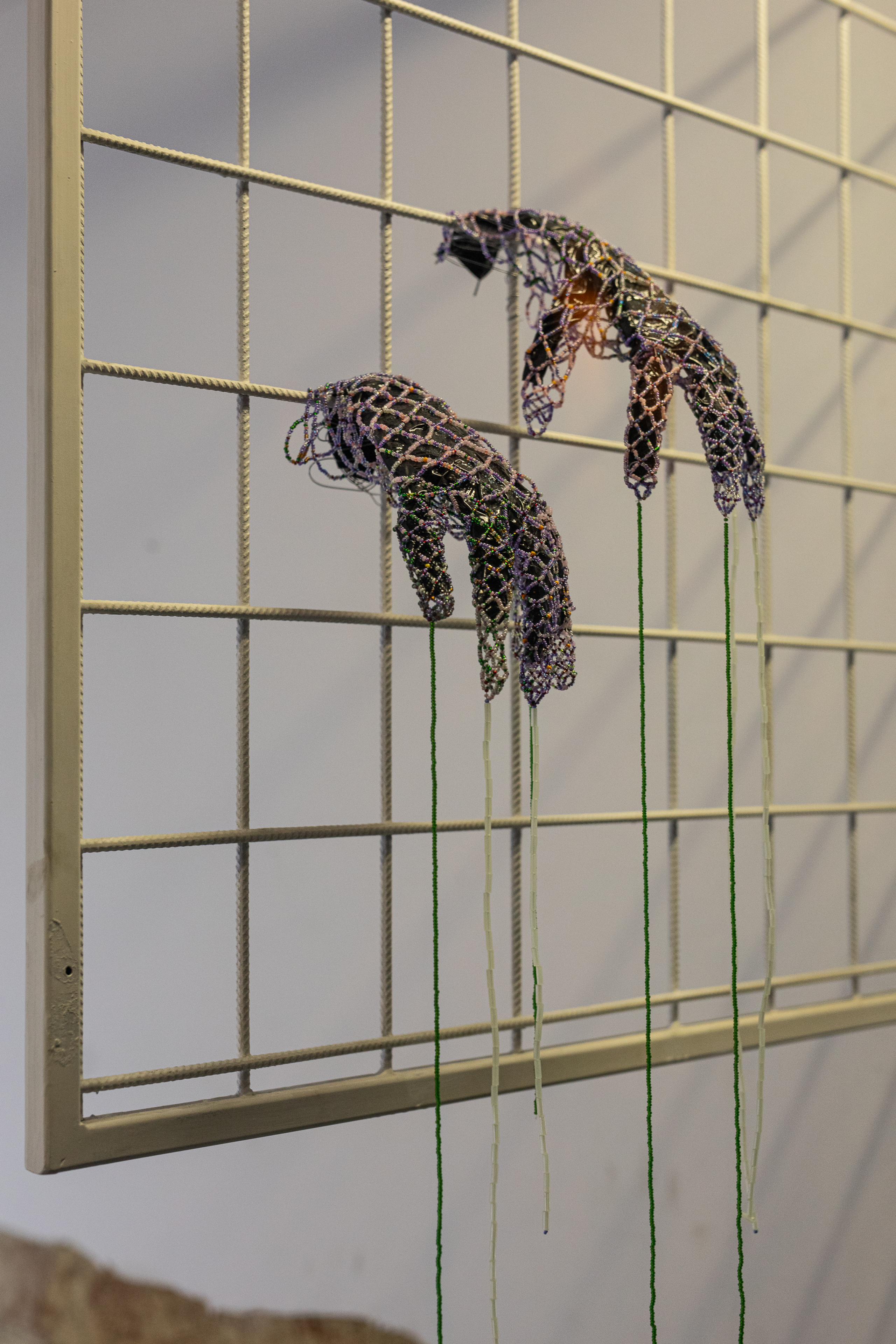 Obrázek: vanesa-h-1