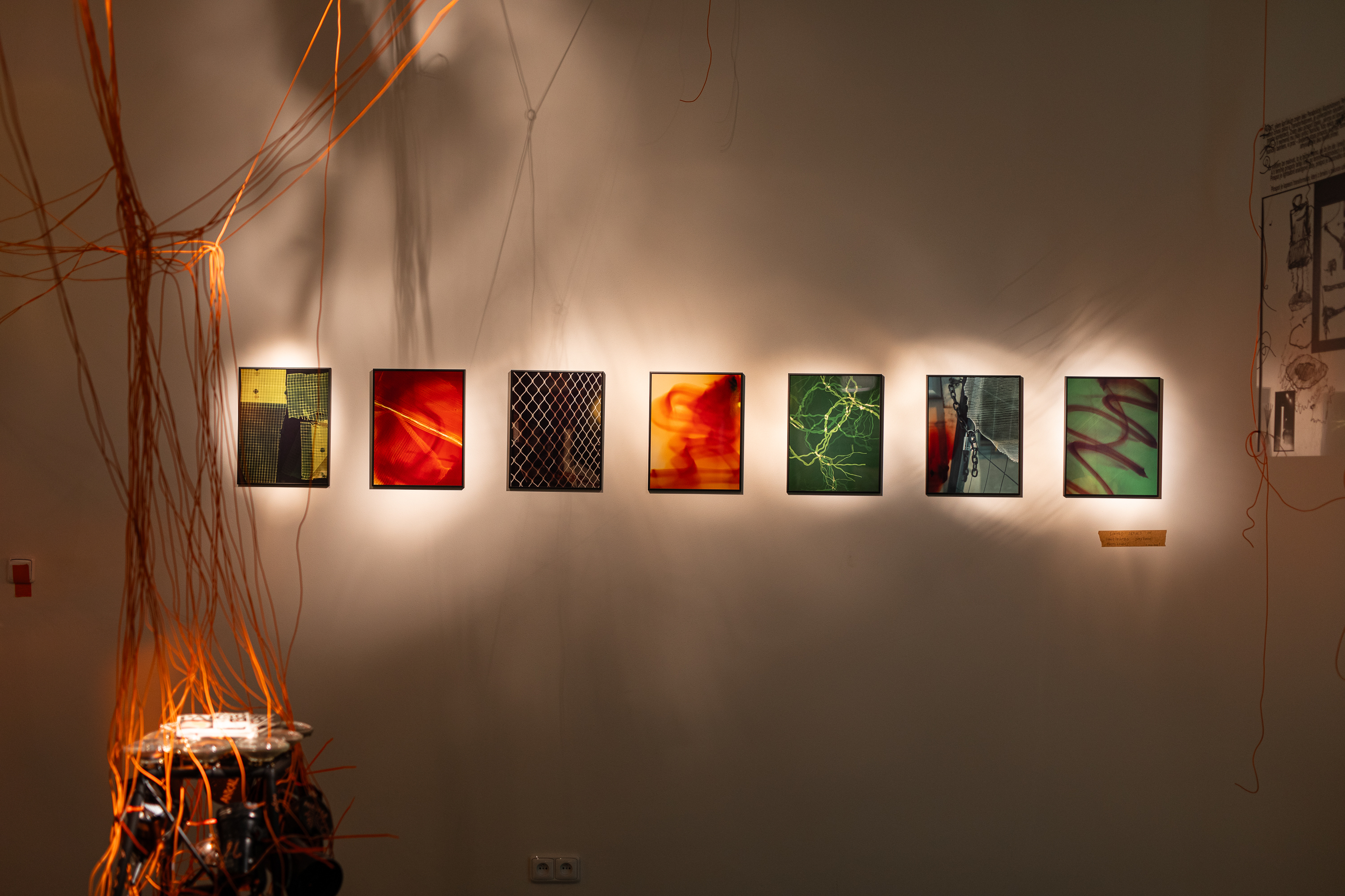 Obrázek: otviracka-mandl-35